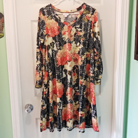 Long Sleeve Swing Dress With Pockets 